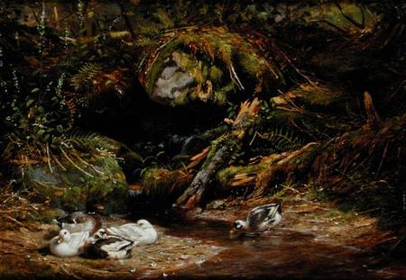 Ducks at the Spring Head od Arthur Fitzwilliam Tait