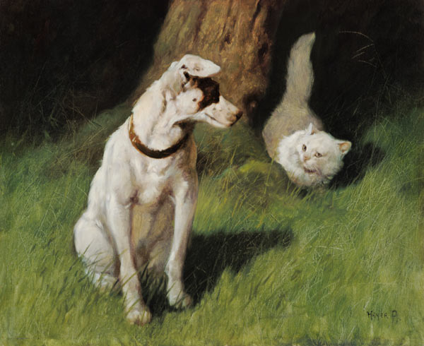 White Persian Cat and Jack Russell od Arthur Heyer