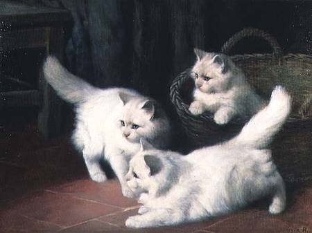 Three White Angora Kittens od Arthur Heyer