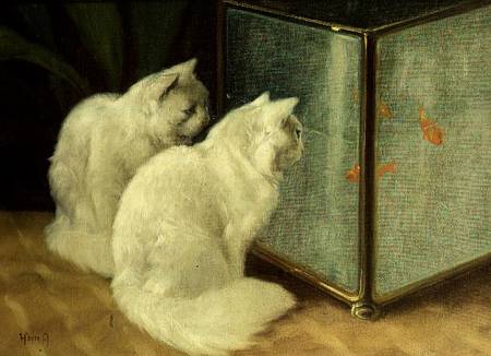 White Cats Watching Goldfish od Arthur Heyer