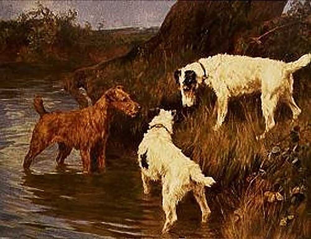Three terriers at a riverbank od Arthur Wardle