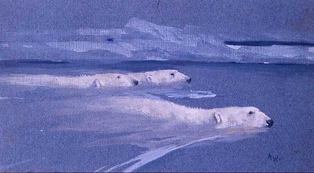 Polar Bears swimming od Arthur Wardle
