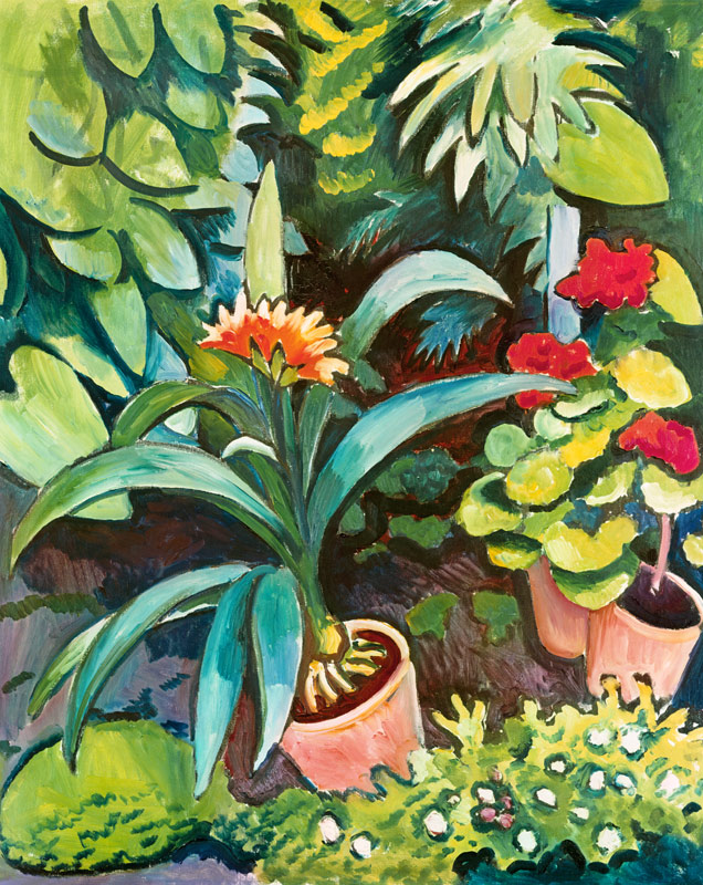 Flowers in the garden, Clivia and Pelargonien od August Macke