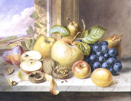 A Still Life of Apples, Grapes, Pears, Plums and Walnuts on a Window Ledge od Augusta Innes Withers