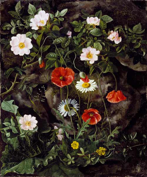Game roses, poppies and daisy at a stone bank. od Augusta Laessoe