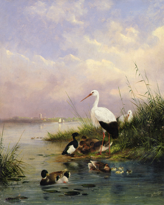 A family of Mallard, two Storks and a family of Tufted Ducks od Augustus Knip