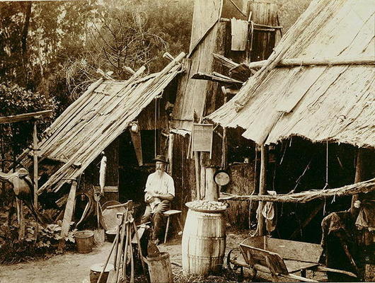 Australian prospector, c.1880s (sepia photo) od Australian School, (19th century)