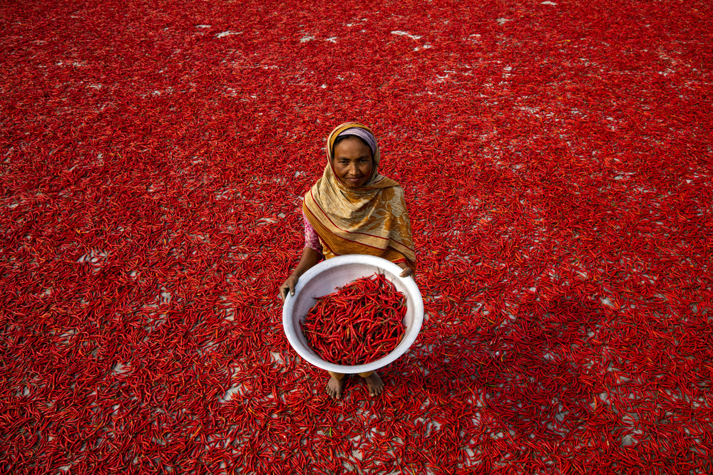 Red chilli worker od Azim Khan Ronnie