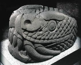 Serpent's Head