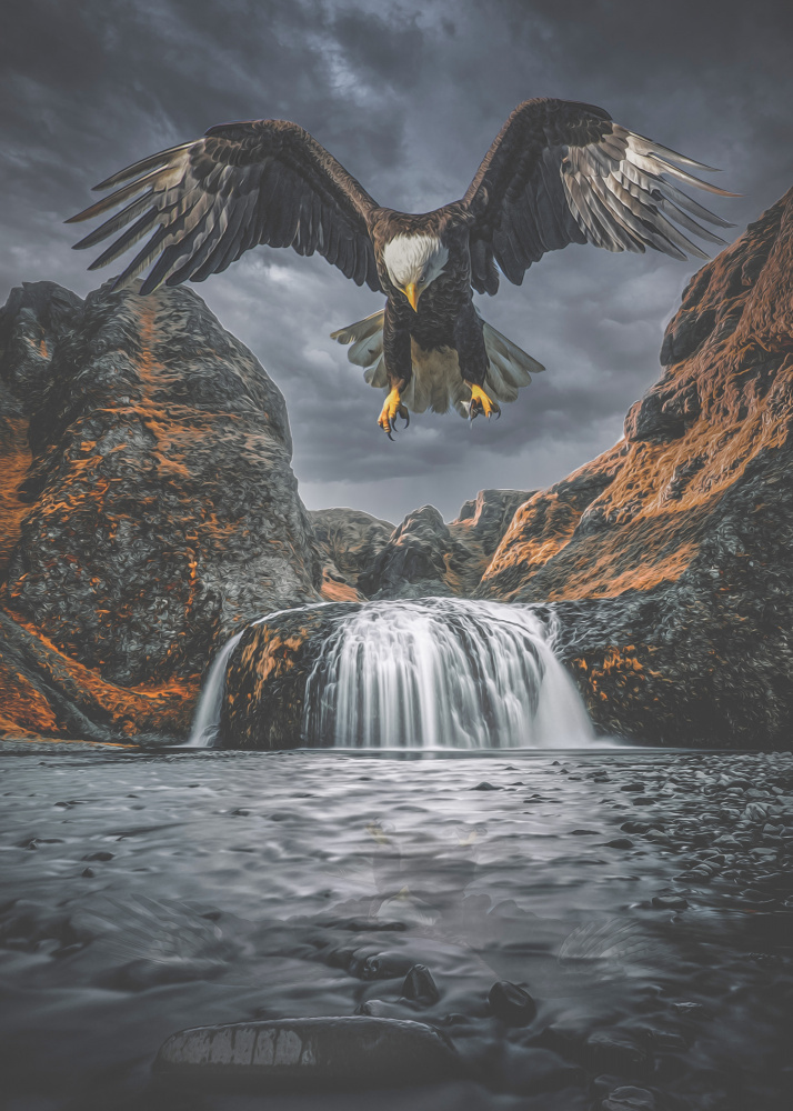 Eagle 1 od Baard Martinussen