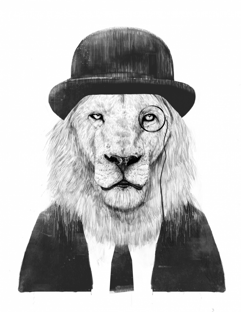 Sir Lion od Balazs Solti