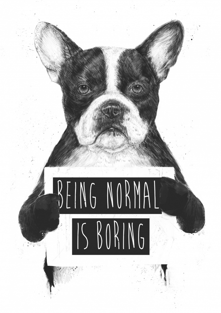 Being Normal Is Boring od Balazs Solti