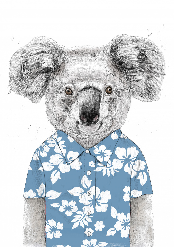 Summer Koala (blue) od Balazs Solti
