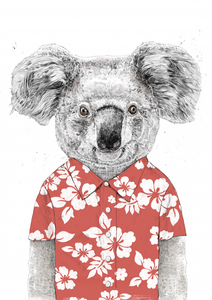 Summer koala (red) od Balazs Solti