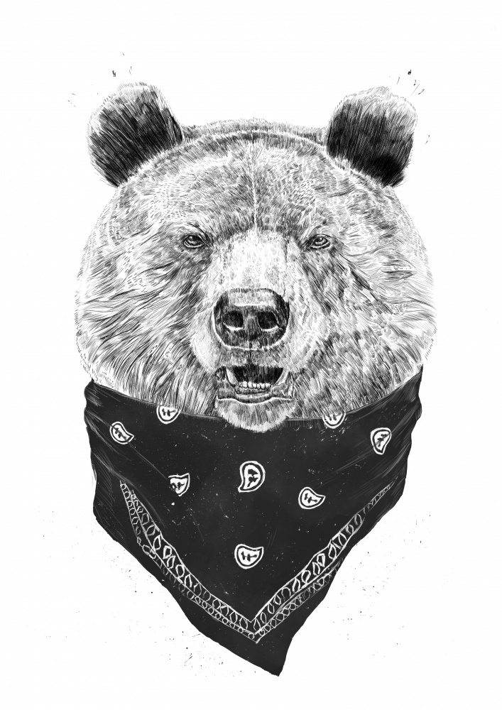 Wild bear od Balazs Solti
