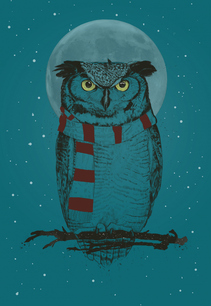 Winter owl od Balazs Solti