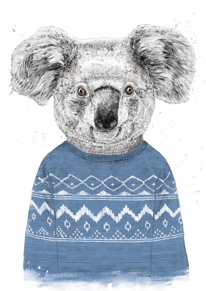 Winter koala (blue) od Balazs Solti