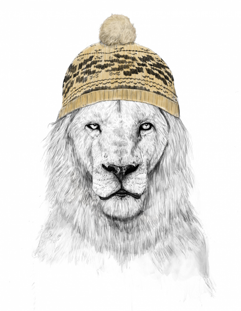 Winter Lion od Balazs Solti
