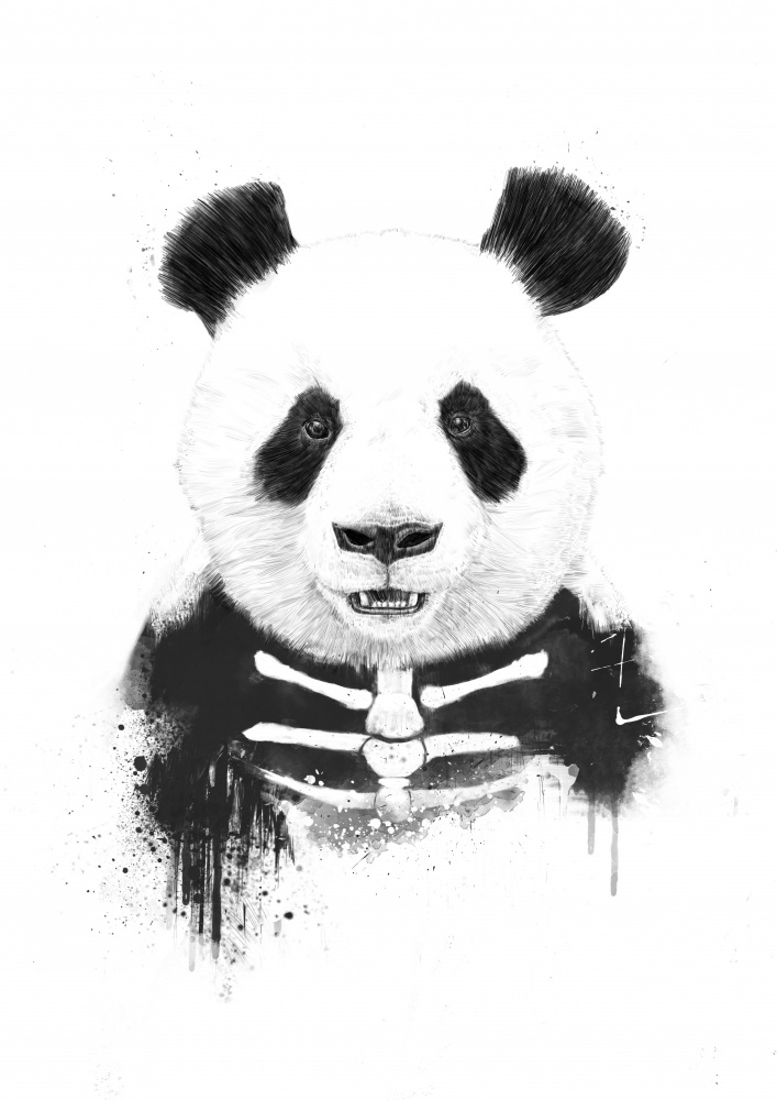 Zombie Panda od Balazs Solti
