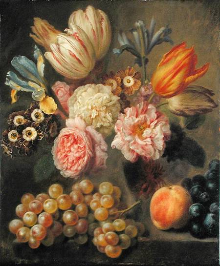Flower Study od Balthasar Denner