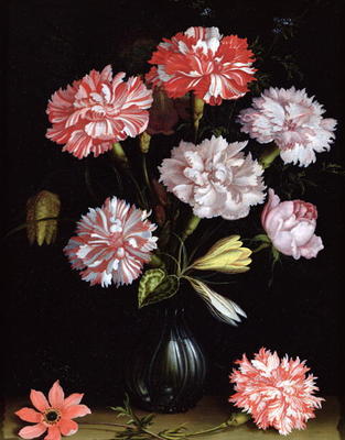 Floral Study: Carnations in a Vase (oil on panel) od Balthasar van der Ast