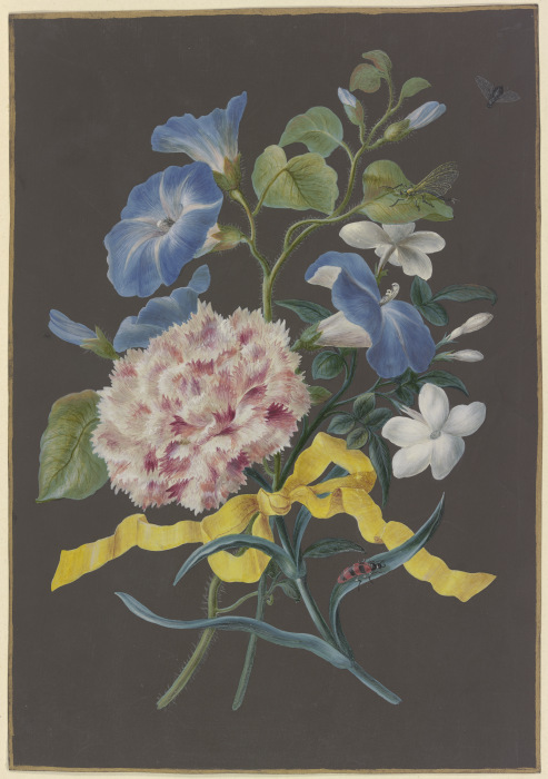 Blumengebinde mit rosa Nelke (Dianthus), blauer Winde (Convolvulus) und weißem Jasmin (Jasminum), mi od Barbara Regina Dietzsch
