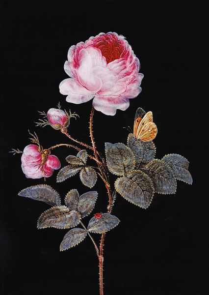 The one hundred flaky rose od Barbara Regina Dietzsch