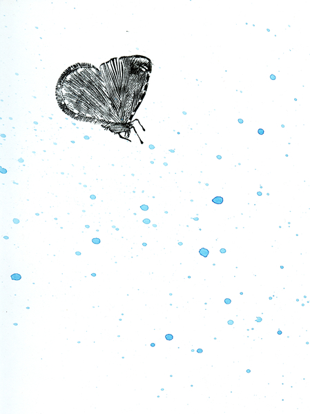 Moth {Fay-erie Dust} od Bella Larsson