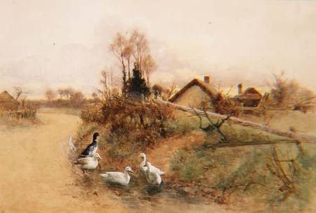 Dabbling Ducks od Benjamin D. Sigmund