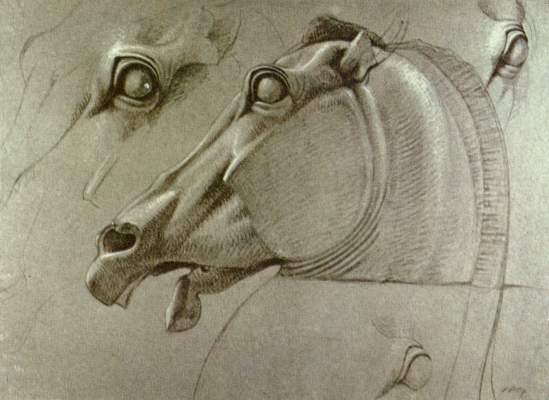 Head of the horse the Selene od Benjamin Robert Haydon