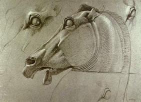 Head of the horse the Selene