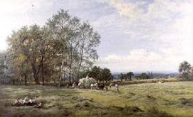 An English Hayfield