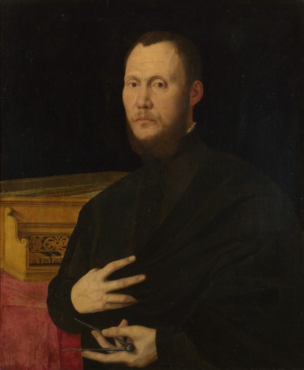 Portrait of a Musician od Bernardino Campi