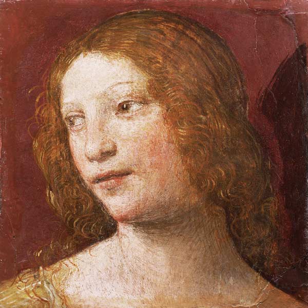 Head of a Young Woman od Bernardino Luini