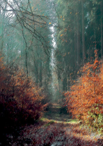Autumn 2 od Bernd Wieczorek