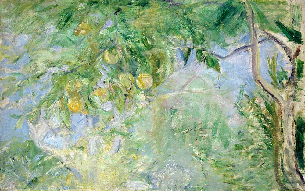Orange Tree Branches od Berthe Morisot