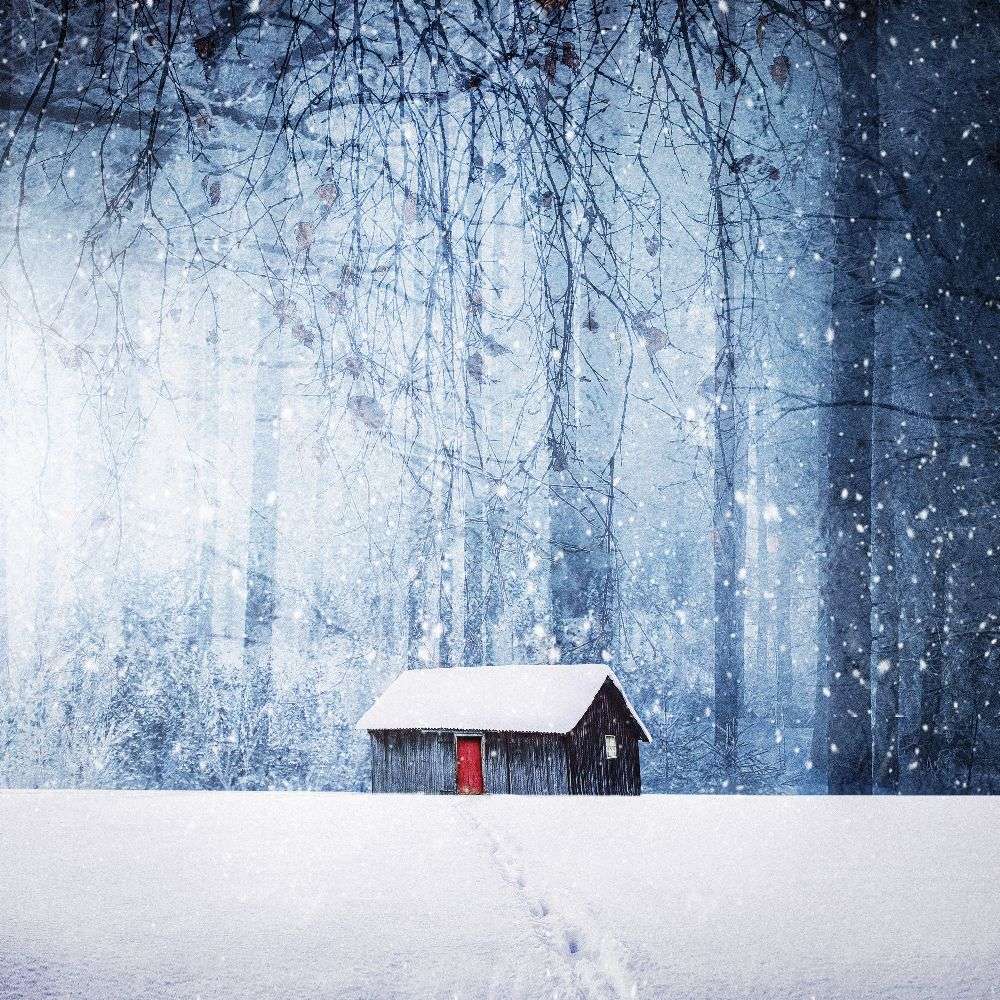 Winter od Bess Hamiti