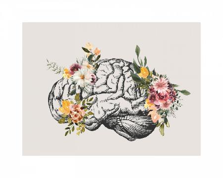 Brain Bloom