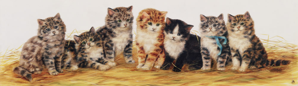 Seven Kittens od Betsy Bamber