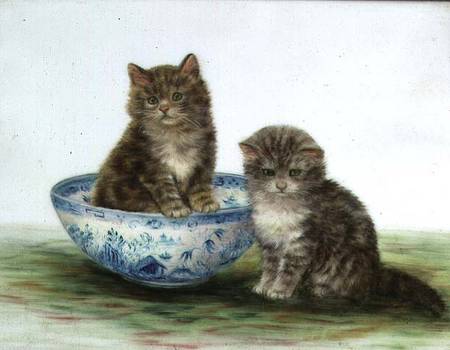 Kitten in a Blue China Bowl od Betsy Bamber