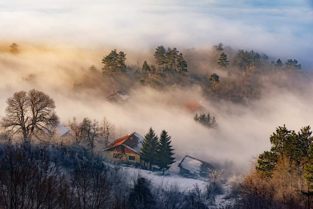 Misty winter days od Bez Dan