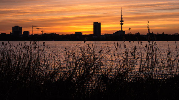 Alster Sonnenuntergang (Hamburg) od Birge George