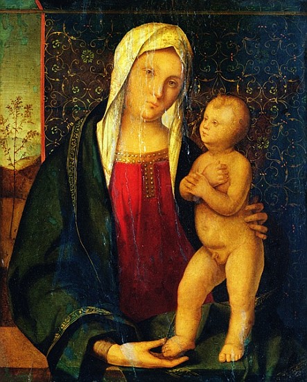 Madonna and Child od Boccaccio Boccaccino