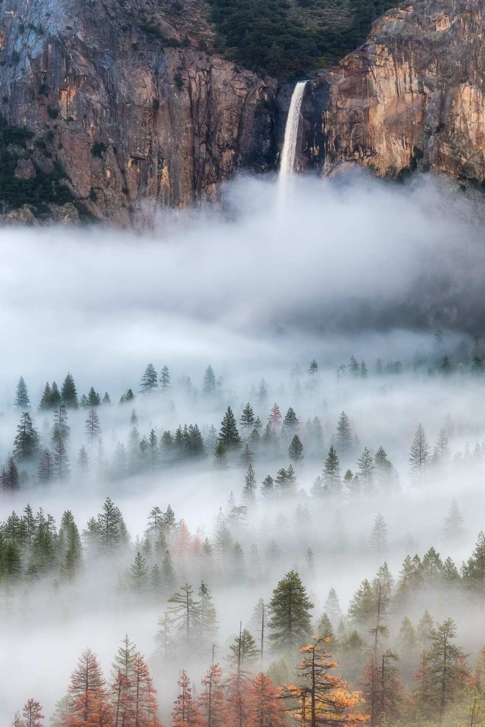 Mist Falls od Brandon Yoshizawa