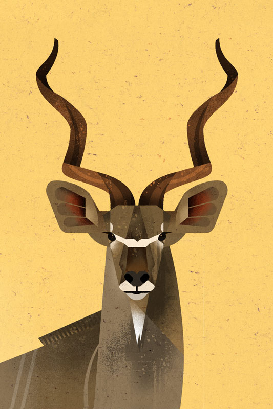 Big Kudu od Dieter Braun