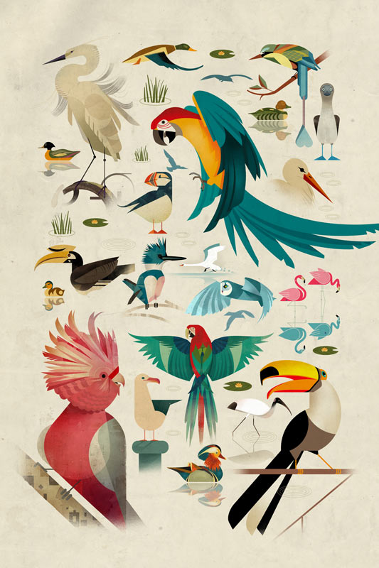 Birds od Dieter Braun