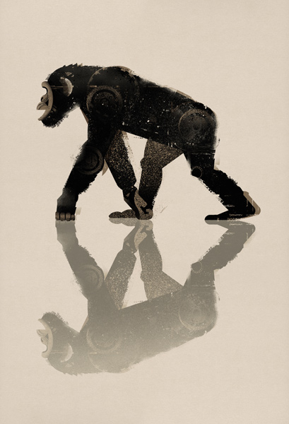 Chimp od Dieter Braun