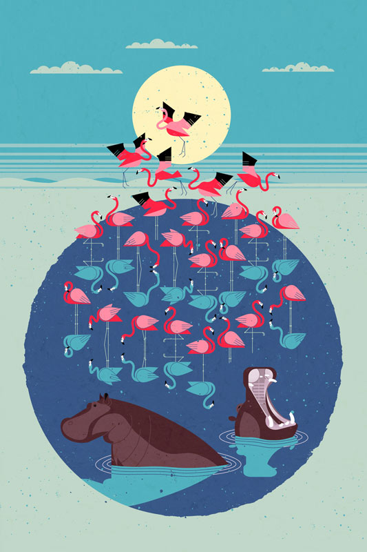 Flamingo Lake od Dieter Braun