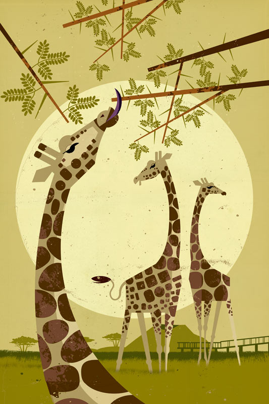 Giraffes od Dieter Braun