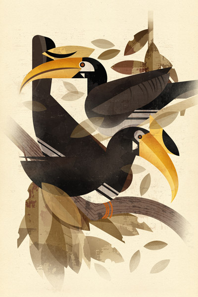 Hornbills od Dieter Braun